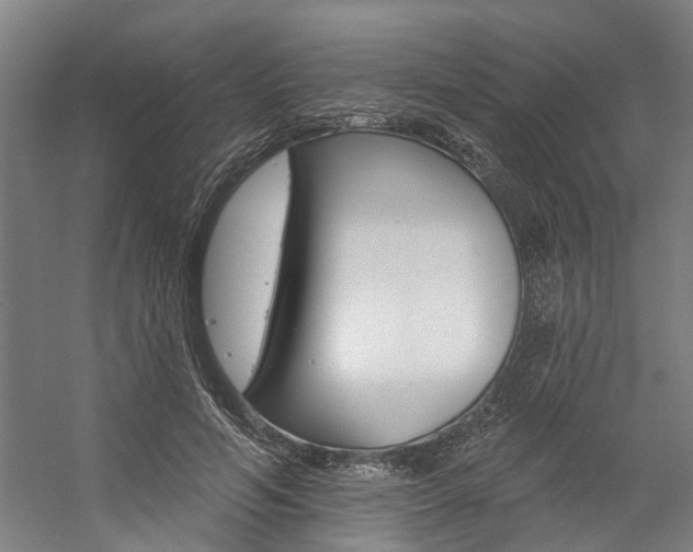 X0000059080594200510070932
