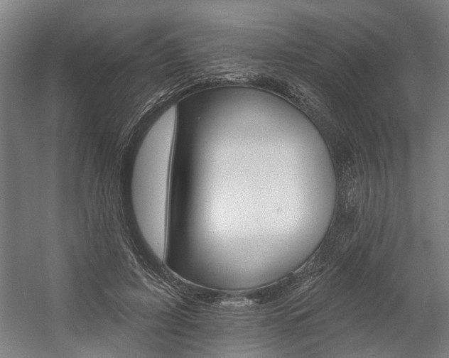 X0000059080595200510070932