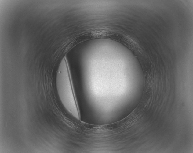 X0000059080601200510070932