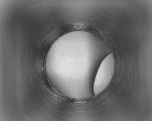 X0000059080606200510070932