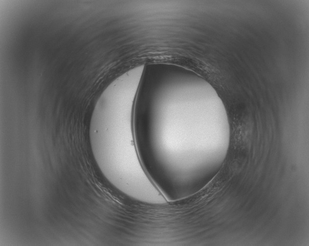 X0000059080609200510070932