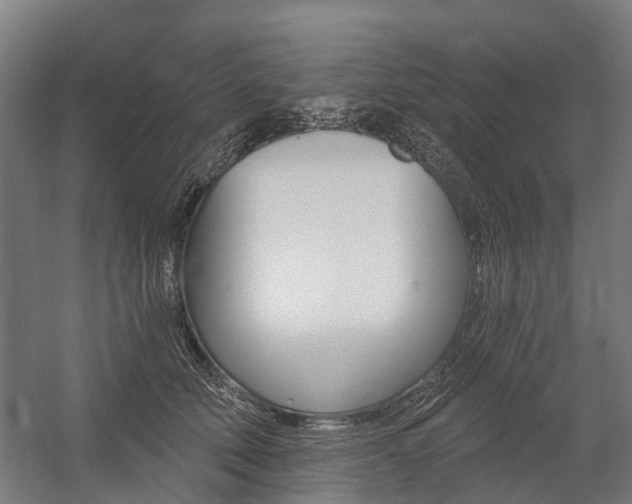 X0000059080610200510070932