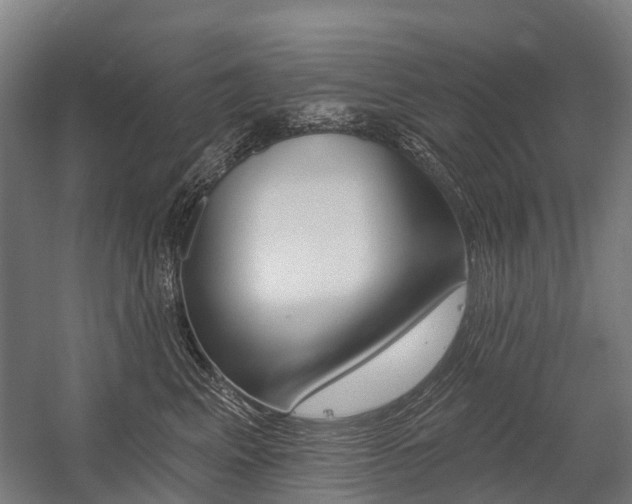 X0000059080617200510070931