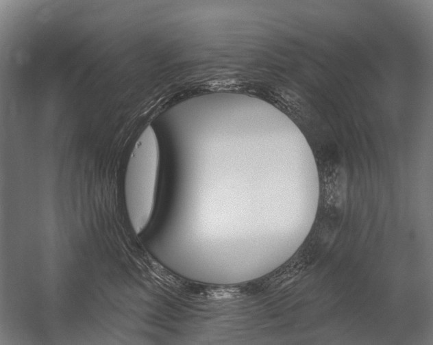 X0000059080618200510070931