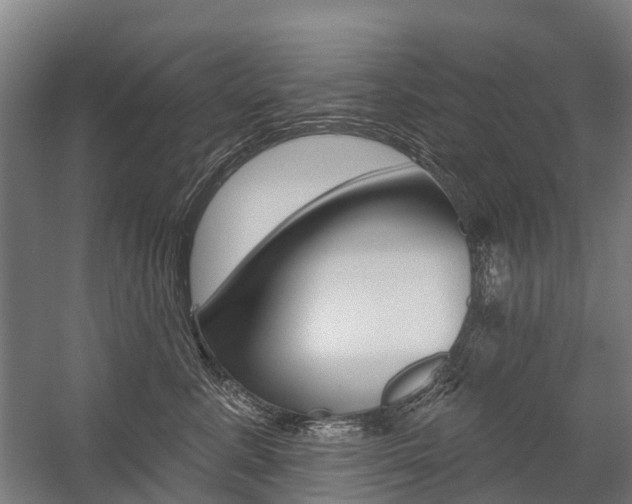 X0000059080619200510070931