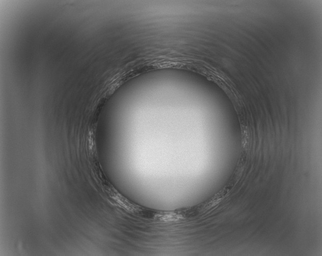 X0000059080621200510070931