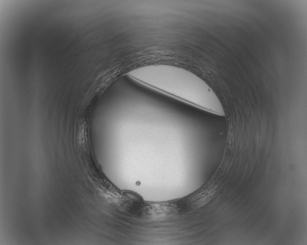 X0000059080623200510070931