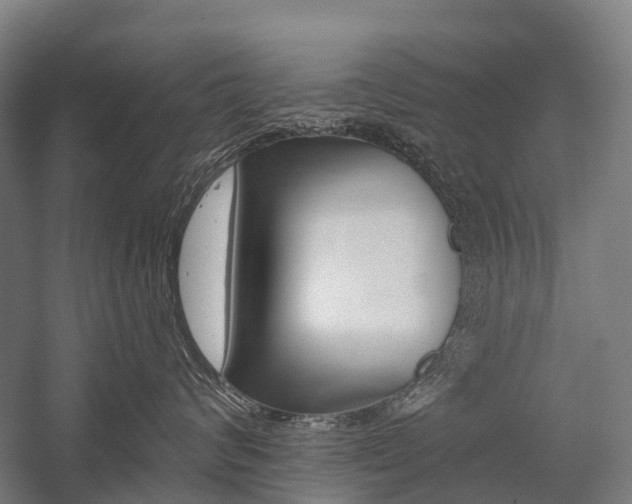 X0000059080624200510070931
