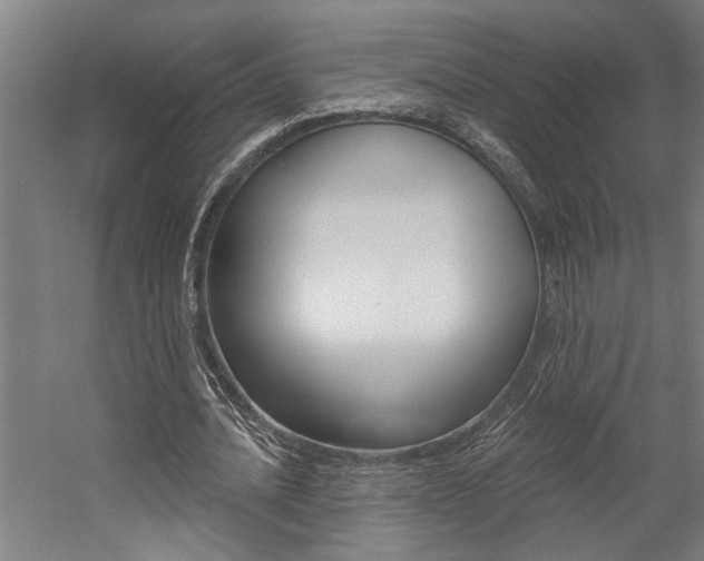 X0000059080628200510070931