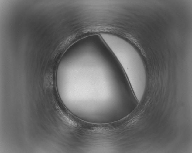 X0000059080633200510070931