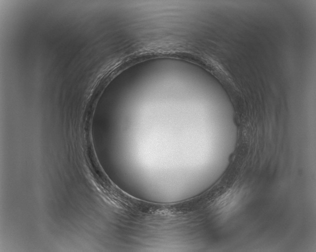 X0000059080635200510070931