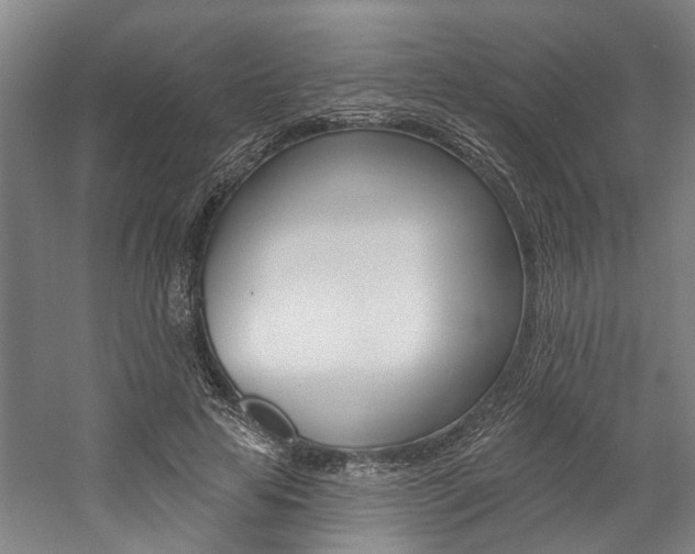 X0000059080641200510070931