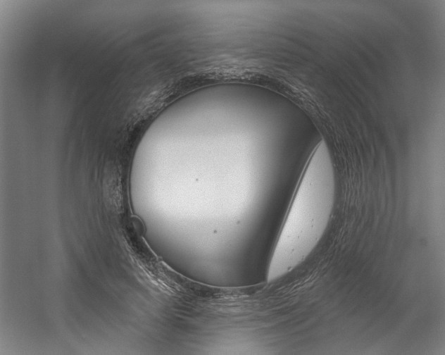 X0000059080642200510070931