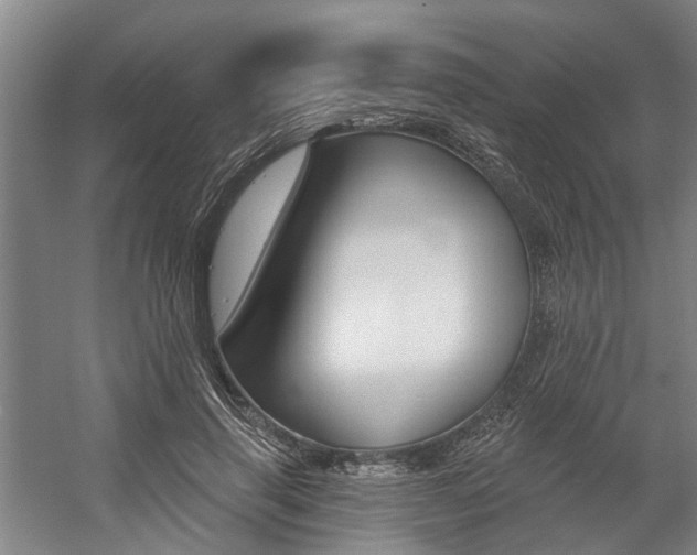 X0000059080645200510070931