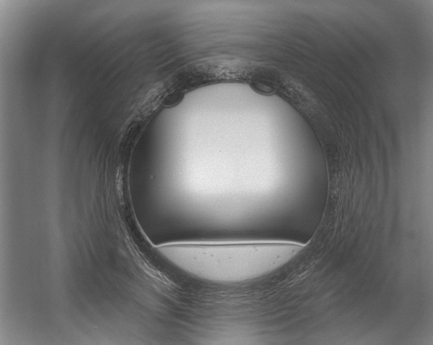 X0000059080646200510070931