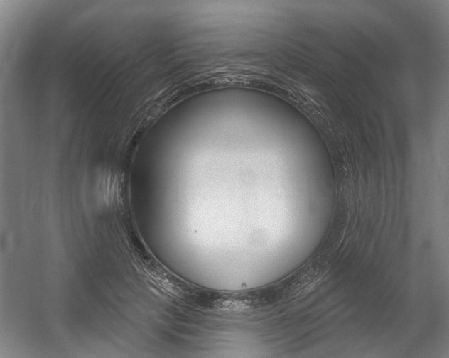 X0000059080649200510070931