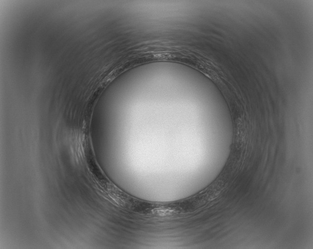 X0000059080650200510070931