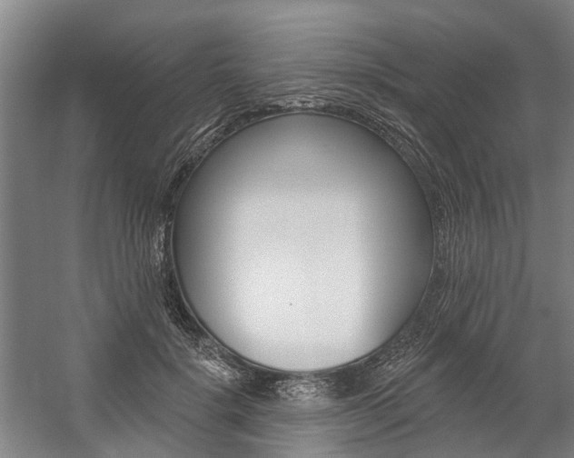X0000059080652200510070931