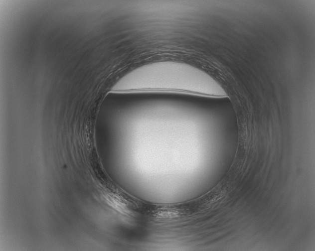 X0000059080653200510070931