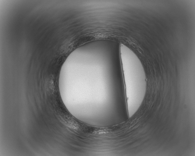 X0000059080655200510070931