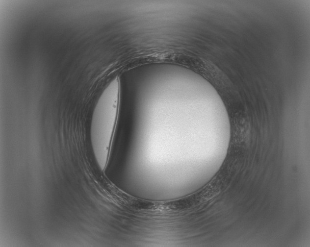 X0000059080656200510070931