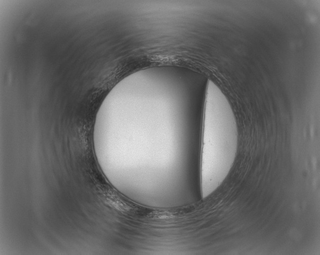 X0000059080658200510070931