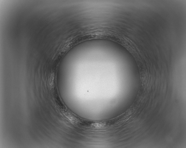X0000059080660200510070931