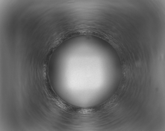 X0000059080664200510070931