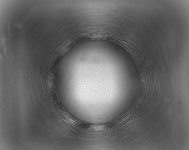 X0000059080665200510070931