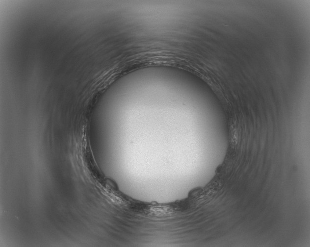 X0000059080666200510070931