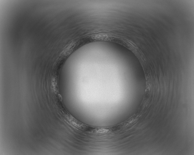 X0000059080669200510070931
