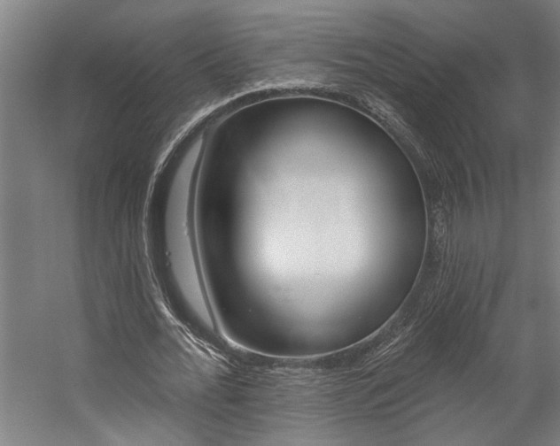 X0000059080676200510070930