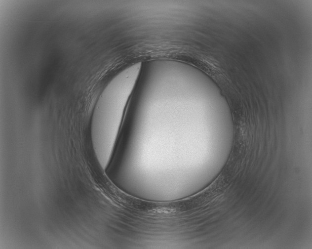 X0000059080691200510070930