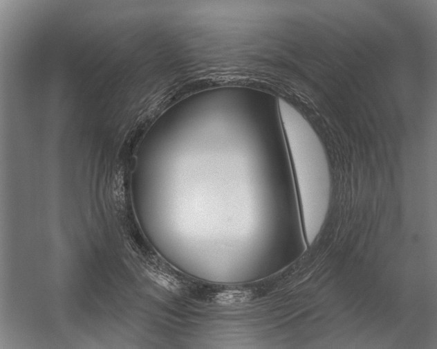 X0000059080700200510070930