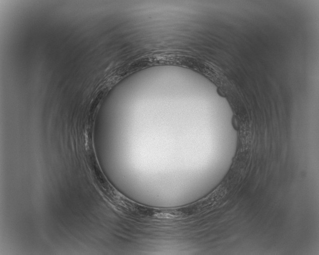 X0000059080703200510070930