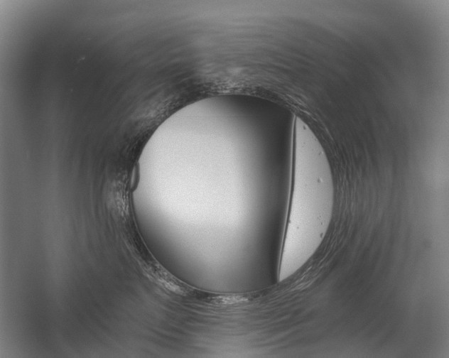 X0000059080719200510070930