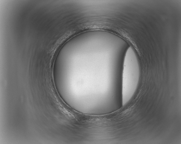 X0000059080721200510070929