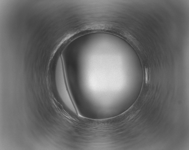 X0000059080723200510070929