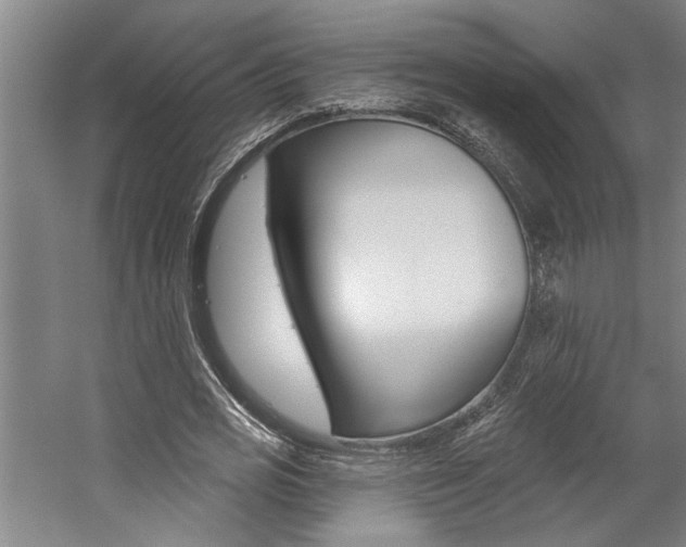 X0000059080725200510070929
