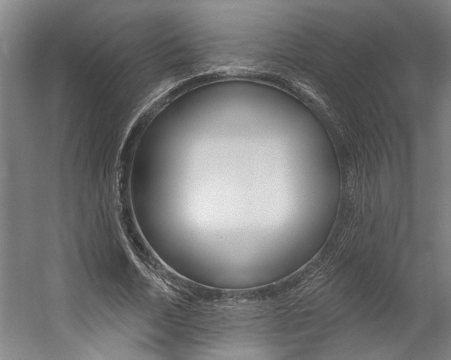 X0000059080730200510070929