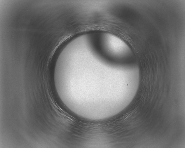X0000059080731200510070929