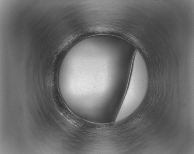 X0000059080732200510070929