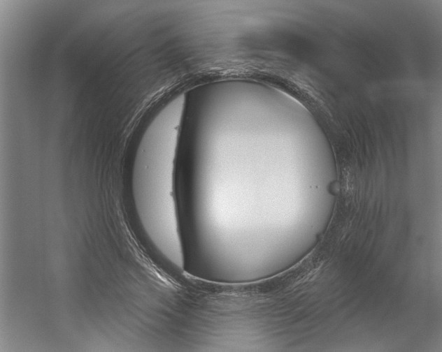 X0000059080733200510070929
