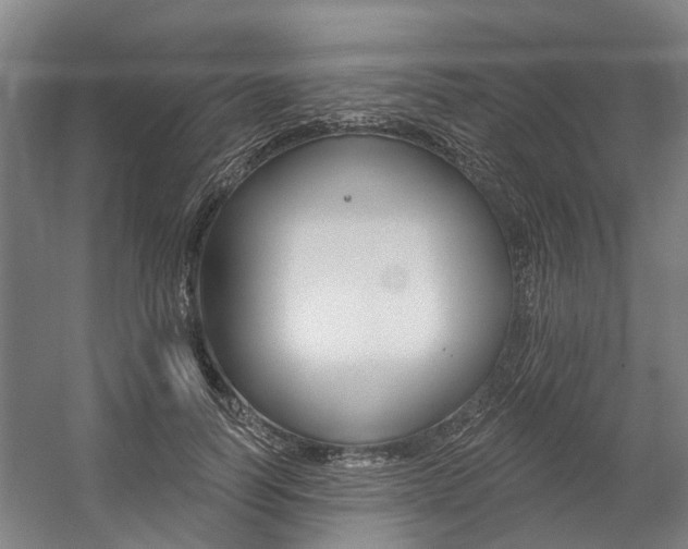 X0000059080746200510070929