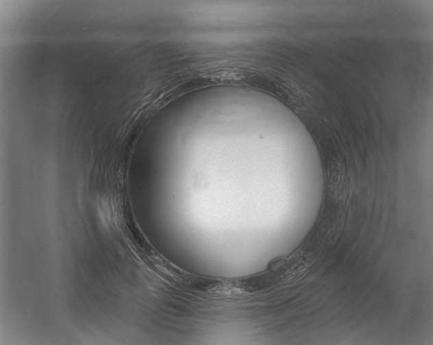 X0000059080747200510070929