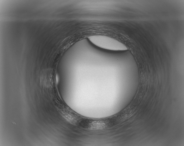 X0000059080749200510070929