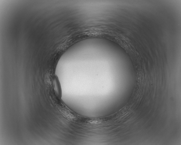 X0000059080755200510070929