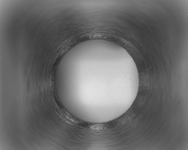 X0000059080761200510070930
