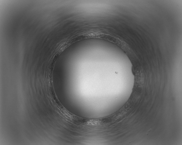 X0000059080762200510070930