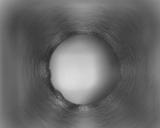 X0000059080764200510070930